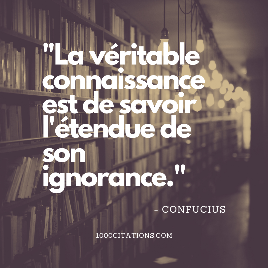 25 Citations Inspirantes Sur La Connaissance 1000 Citations