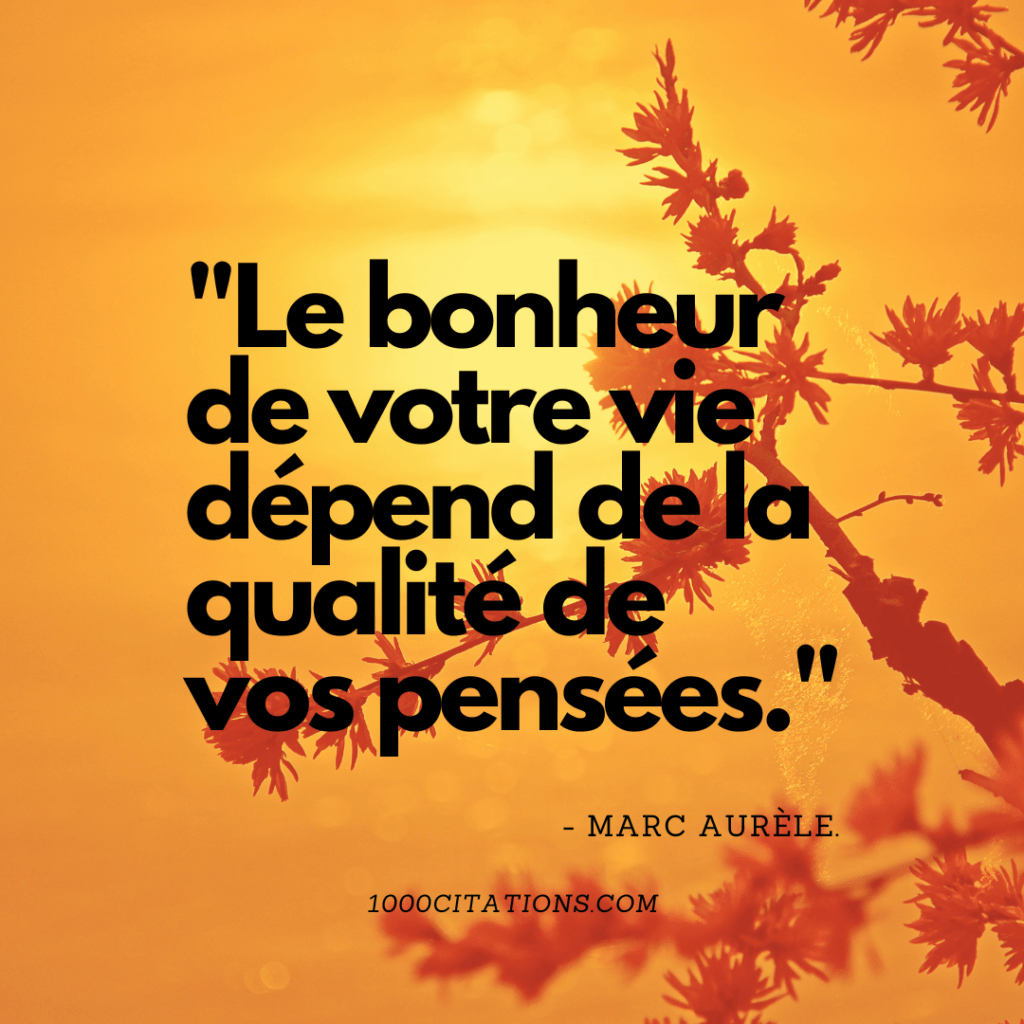 Citation Citations La Vie