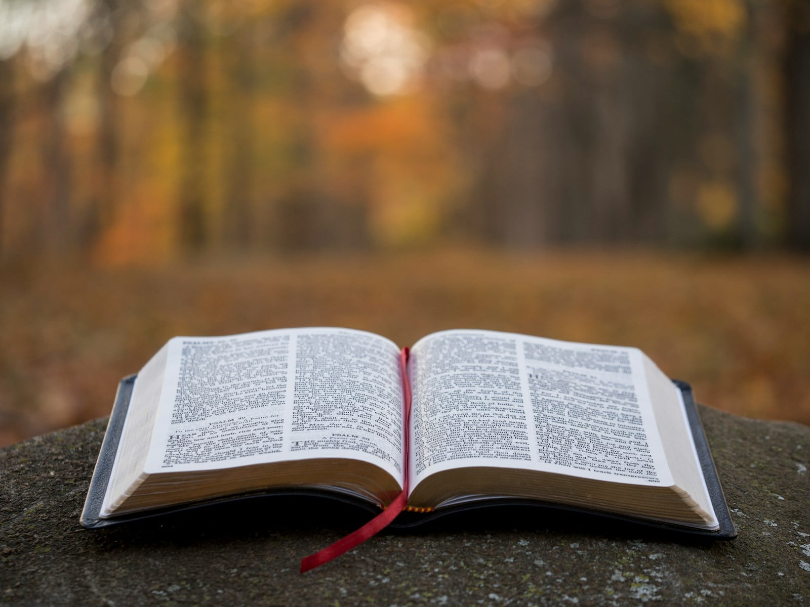 Inspirations Divines: Un Regard sur Les Citations Bibliques Qui Inspirent Notre Existence