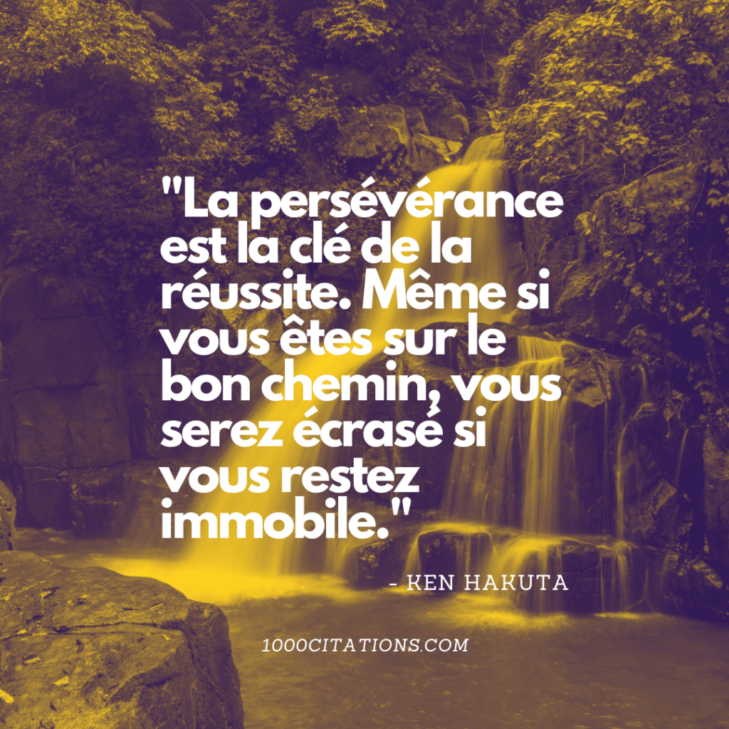 Citation Citations Motivation