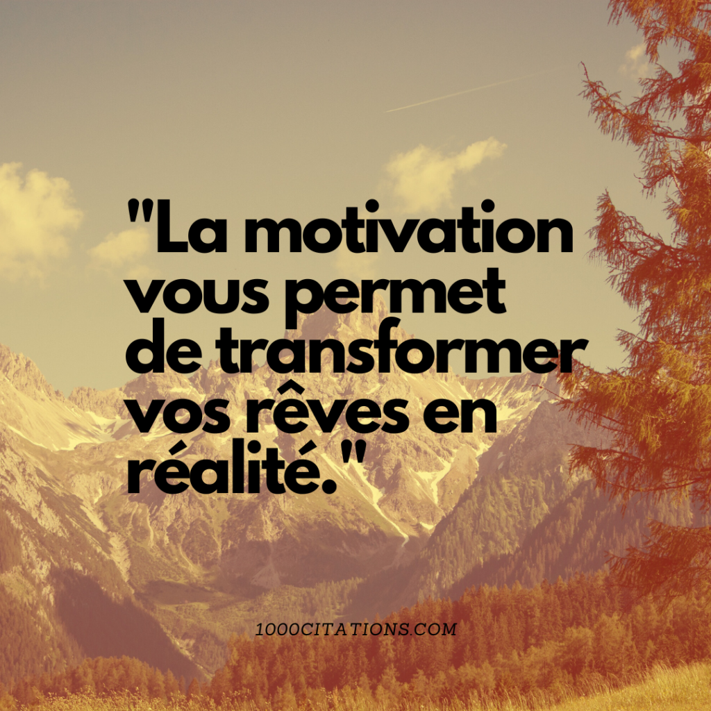 Citation Citations Motivation