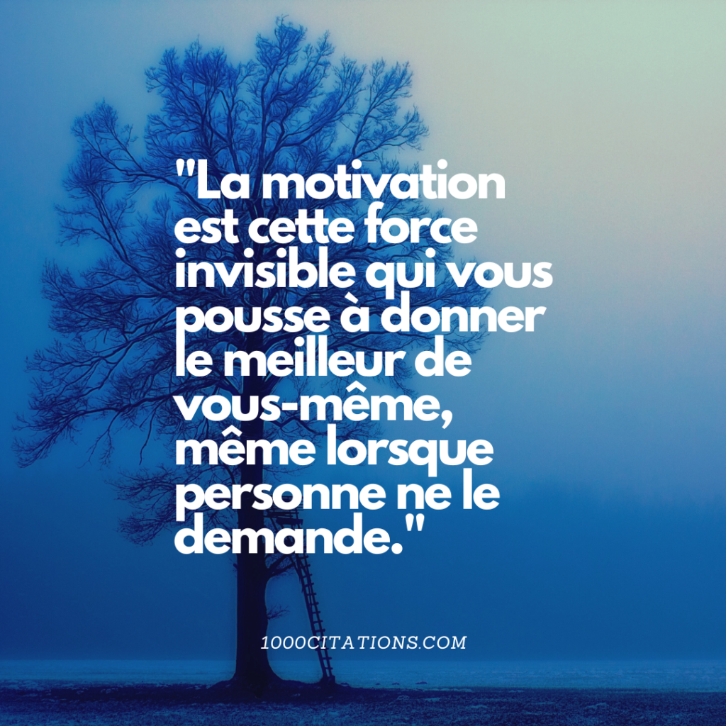 Citation Citations Motivation