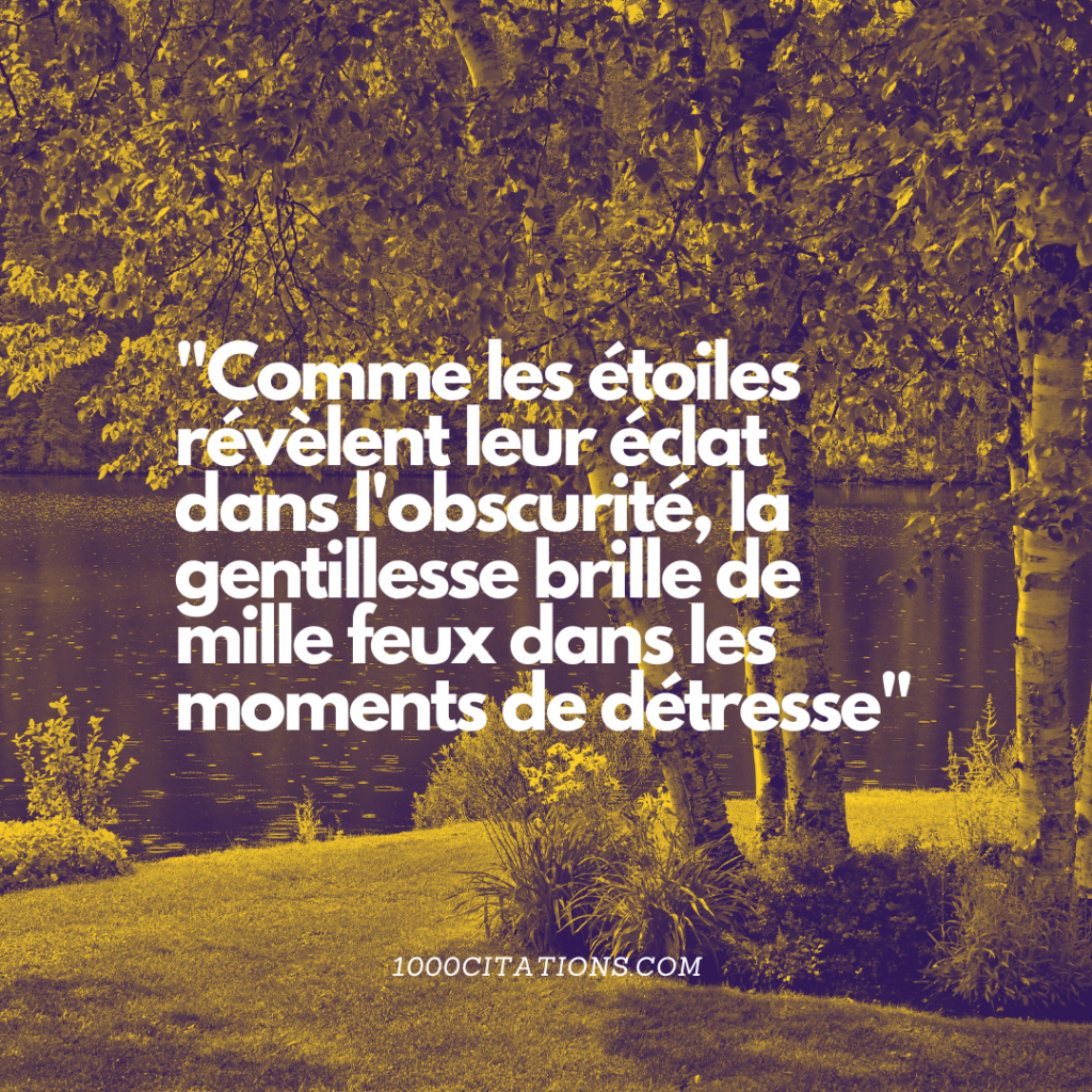 Citation Citations Bonheur