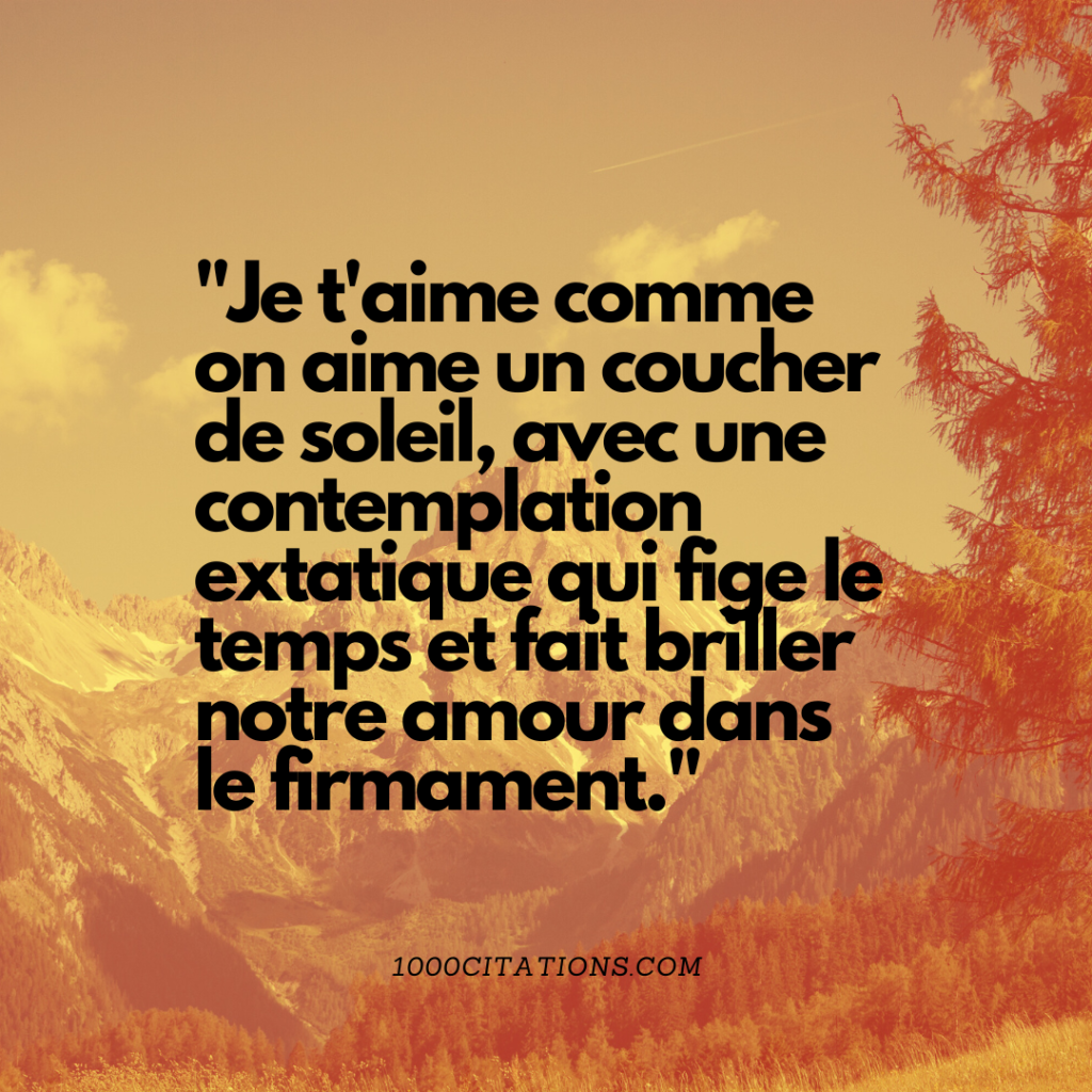 Citation Citations Amour