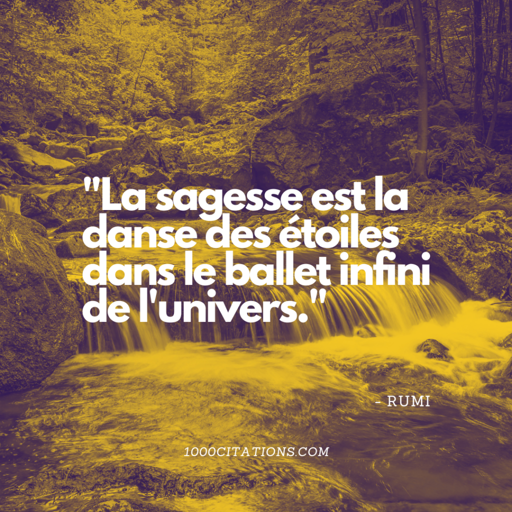 Citation citations sagesse