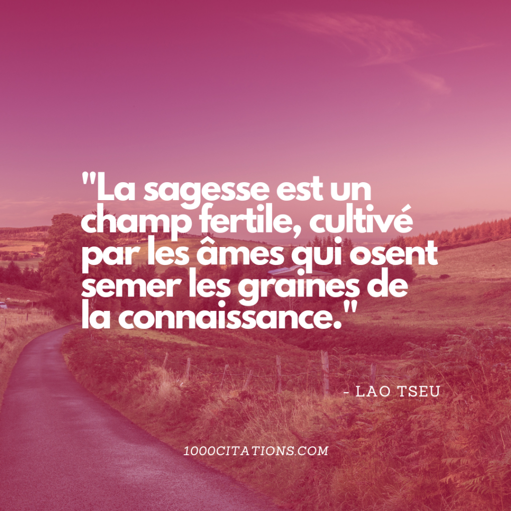 Citation citations sagesse