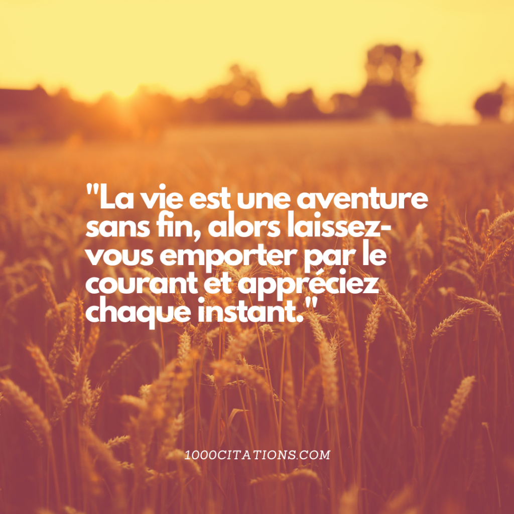 Citation Citations femme