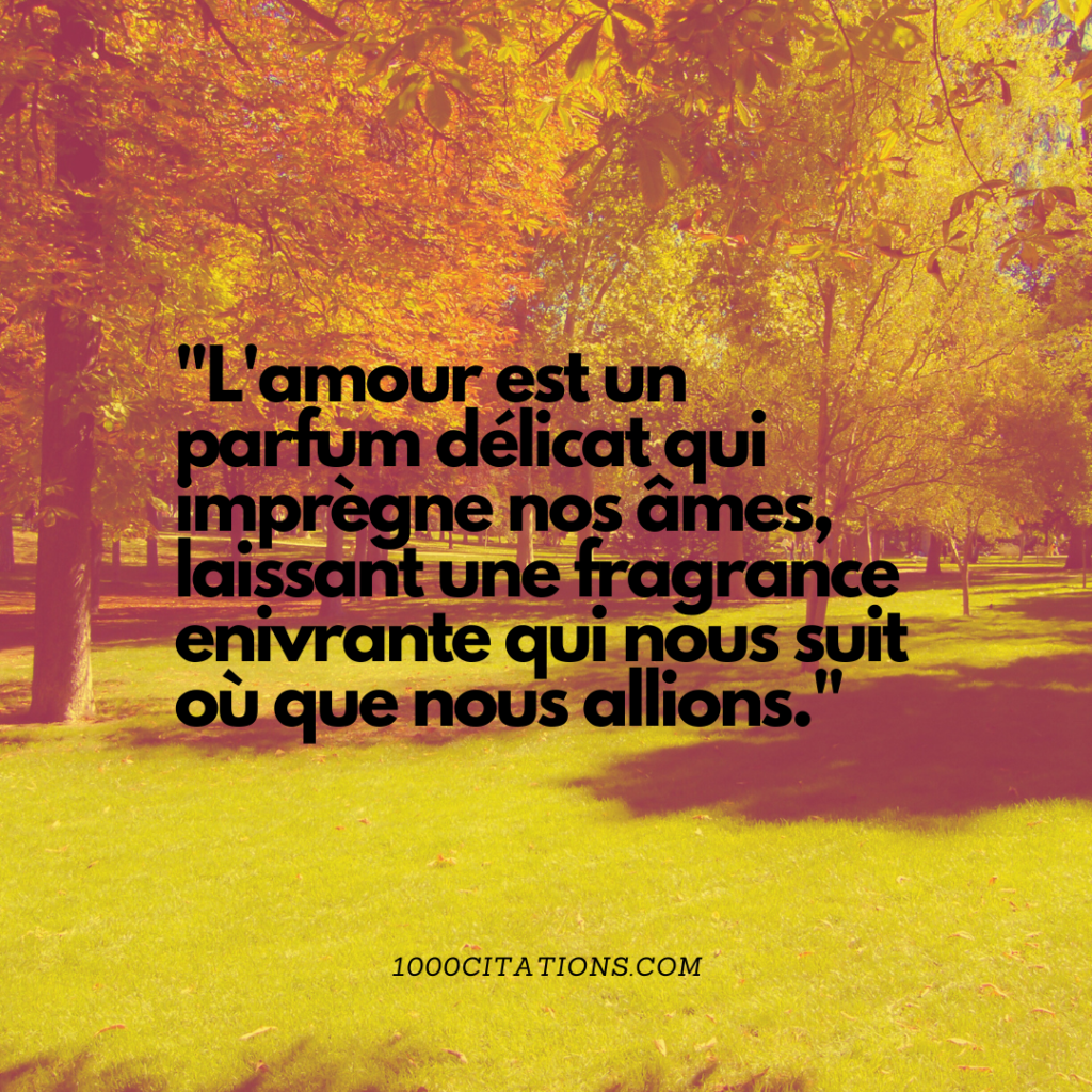 Citation Citations Amour