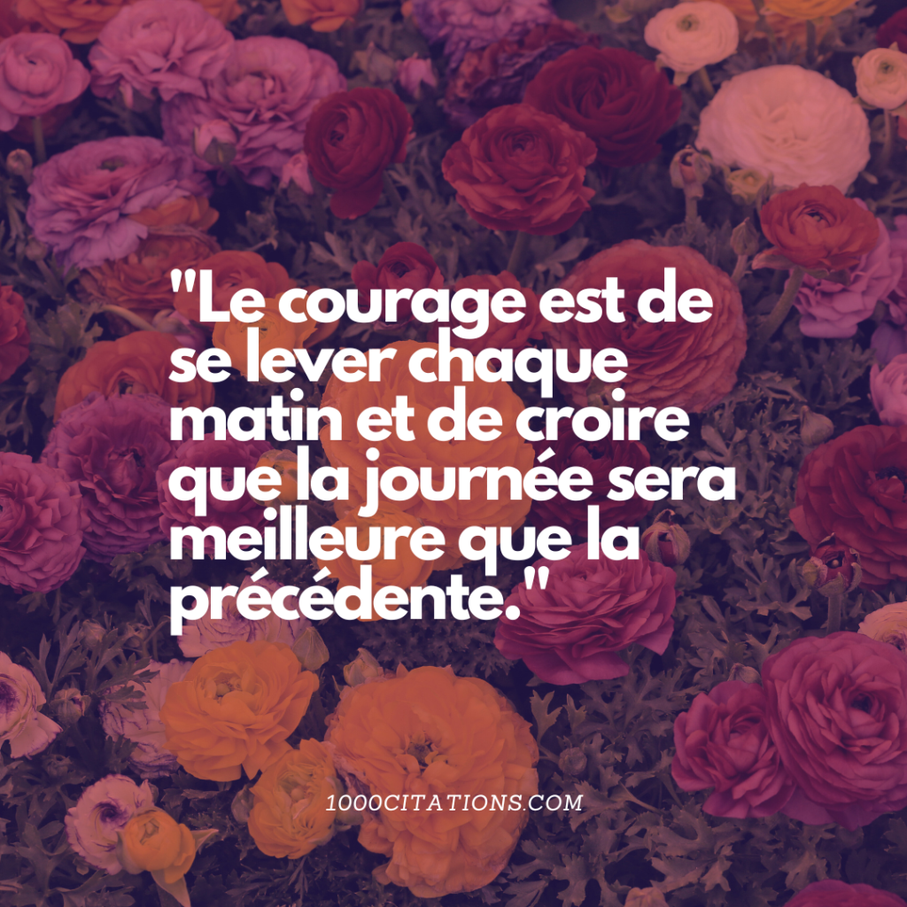 Citation Citations femme