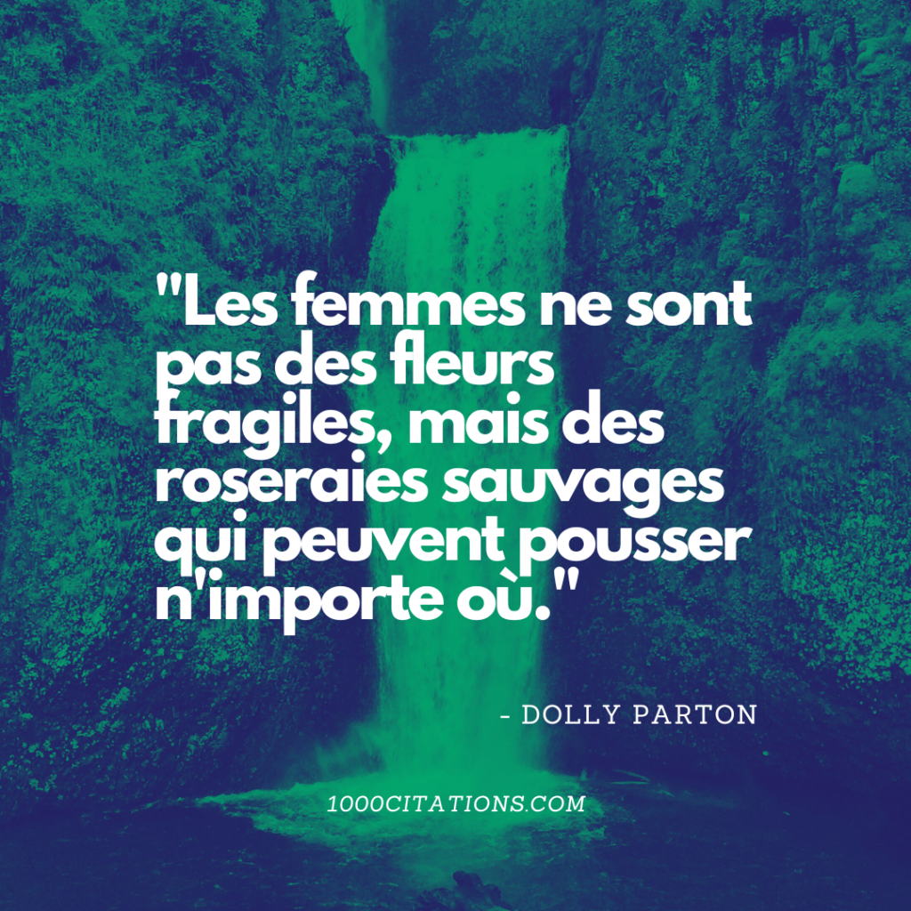 Citation Citations Motivation