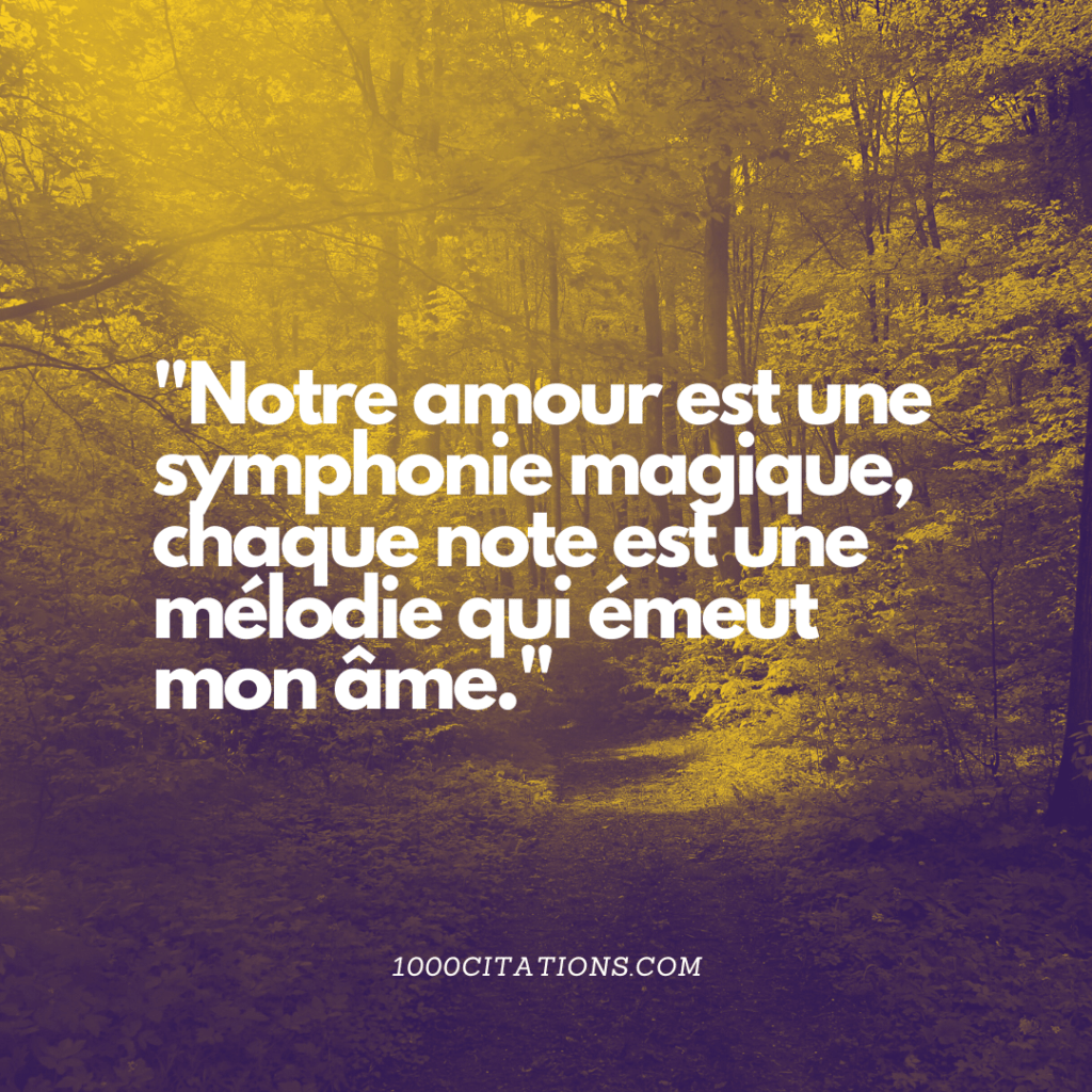 Citation Citations Amour