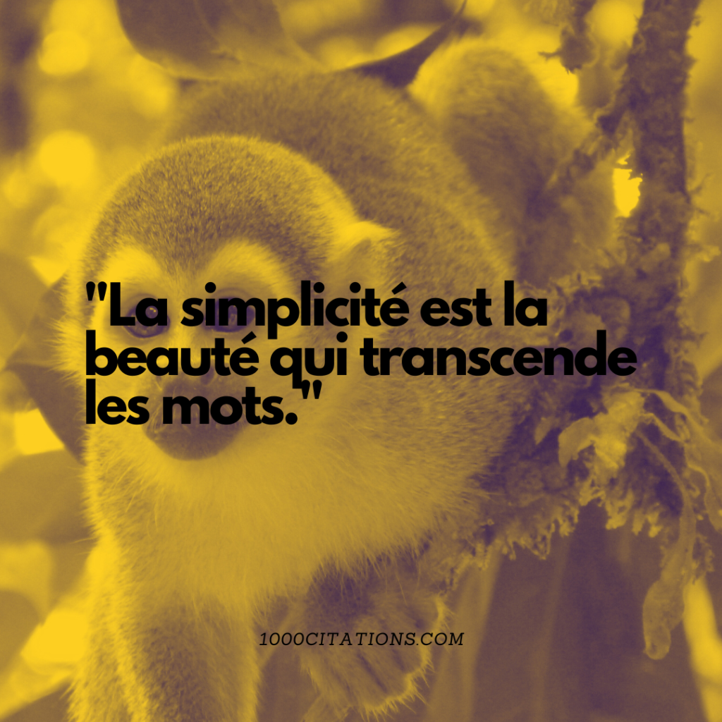 Citation citations sagesse