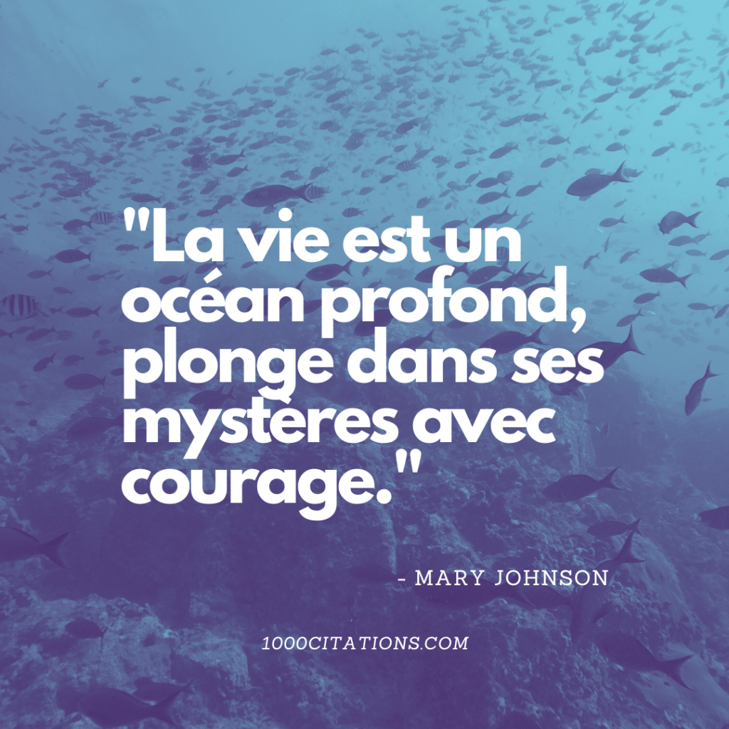 Citation citations sagesse