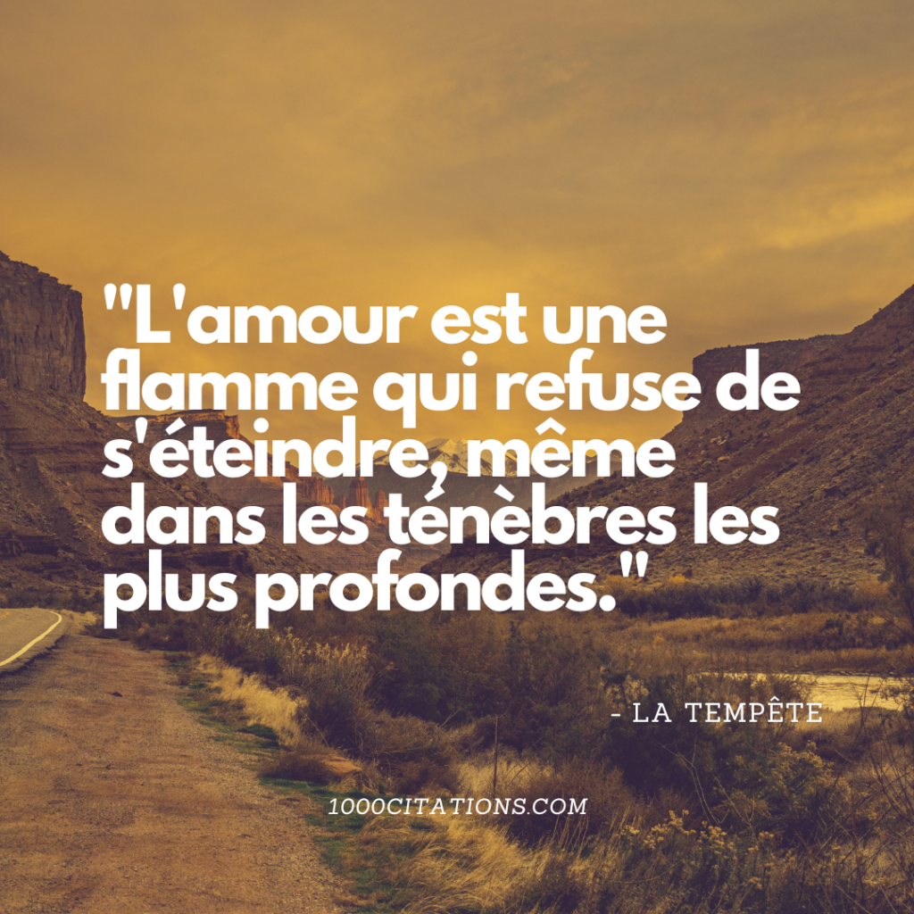 Citation Citations Par Auteur